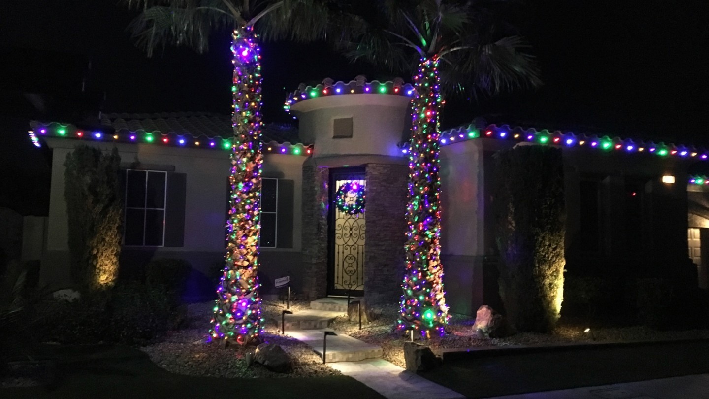 Multicolor LED With Palms